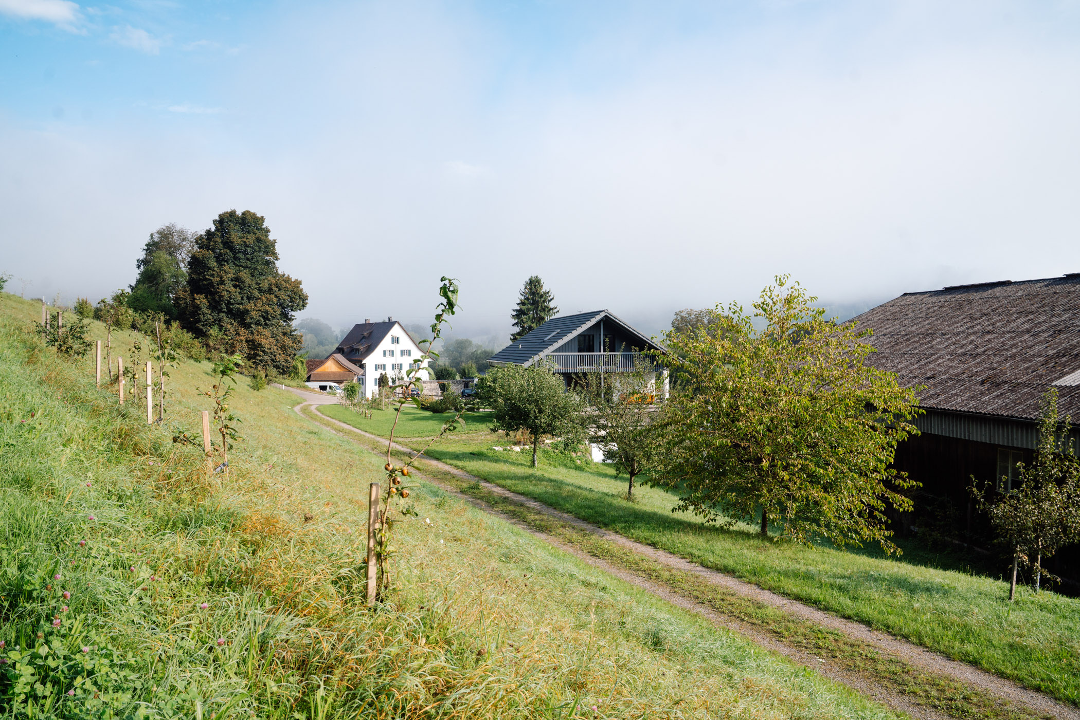 Landwirtschaftsfotografie, Bauernhof Fotografie, Fotos Direktvermarktung Schweiz