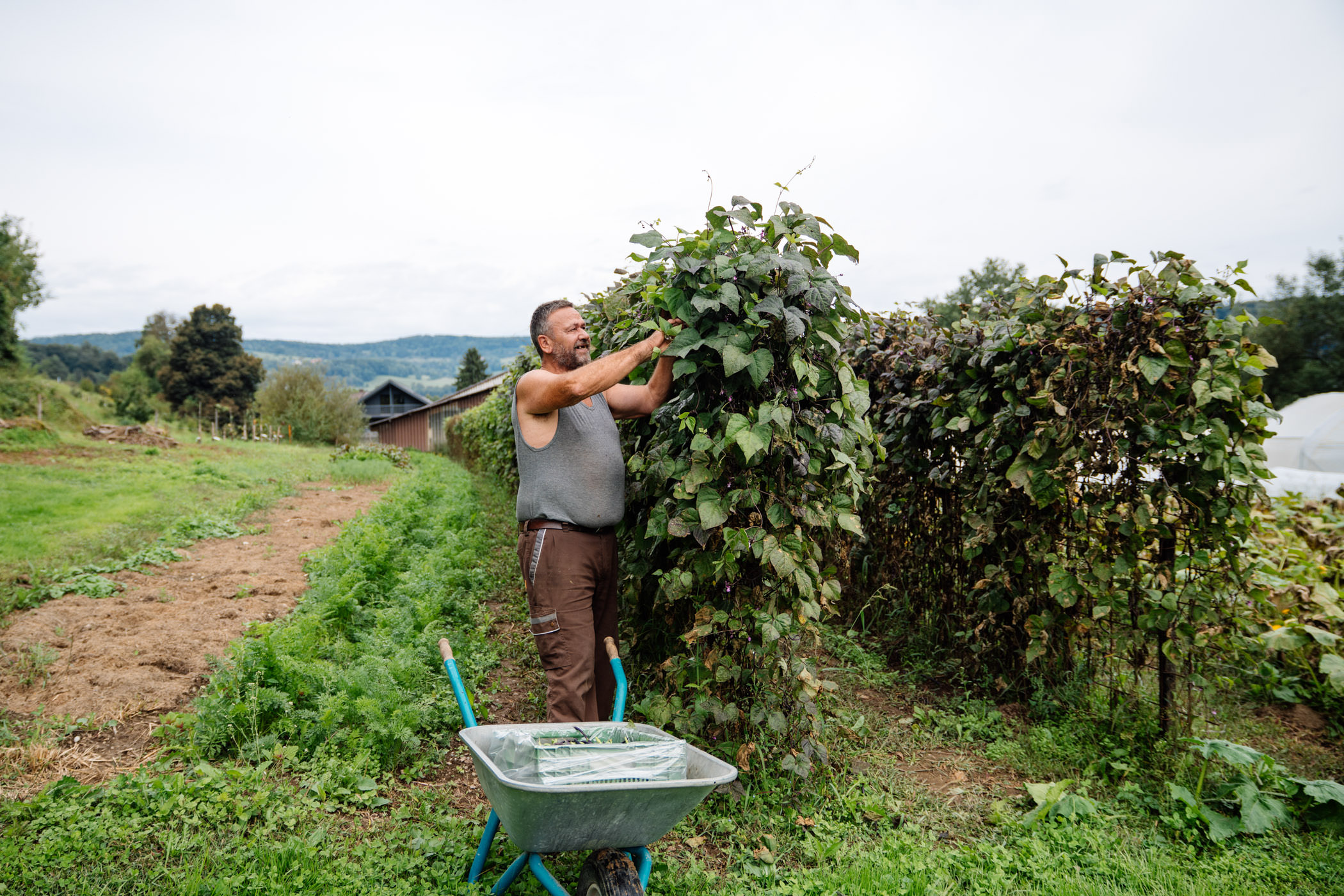 Landwirtschaftsfotografie, Bauernhof Fotografie, Fotos Direktvermarktung Schweiz
